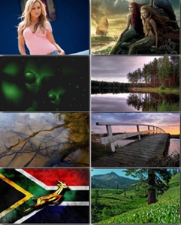 Mix Wallpapers - ��������� ����� �� ������� ���� 264