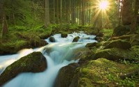 Mix Wallpapers - ������� ����� ��� �� - Release 268