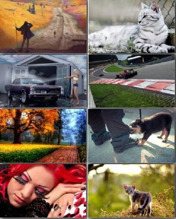 HQ Wallpapers for PC - ��������� ����� ��� �������� ����� 274