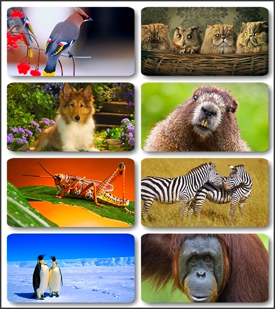 ���� - ��� ������������ �������� / 150 ���� ��������