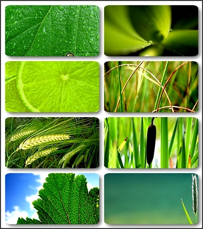 HQ ���� � ������ ����� / 190 HQ wallpapers