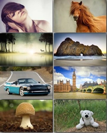 Quality Wallpapers - ��������� ����� �� ������� ���� - Super Pack 277