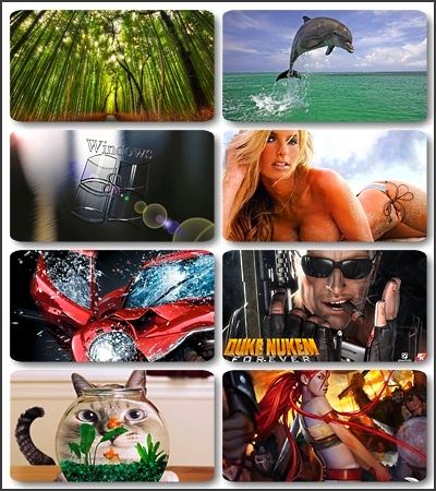 ������������ Full HD ���� / 335 Full HD images