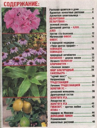 ������� ������� ������������� ���� �4 (������ 2012). ������� � �����������