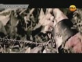 ������� ����. ���� ��������� (2012) SATRip