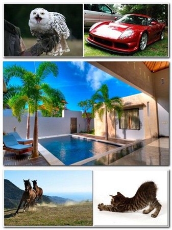 New Mixed HD Wallpapers Pack 58