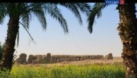 ������� ������ (3 �����) / Planet Egypt (2011) SATRip 