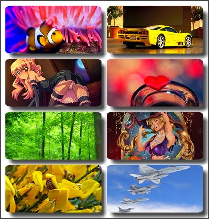 ������������ ���� ��� ���������� / 100 HQ ��������