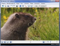 SMPlayer 0.8.0.4343  Stable(x32/64)