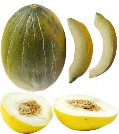 ��������: �������� �������� - ����