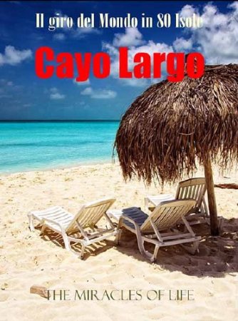 80 �������� ������ �����. ������ ����� / Il Giro Del Mondo In 80 Isole (2011) SATRip 