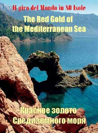 80 �������� ������ �����. ������� ������ ������������ ���� / Il Giro Del Mondo In 80 Isole (2011) SATRip 