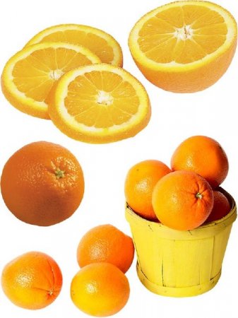 ��������: ���������� ������ - ��������