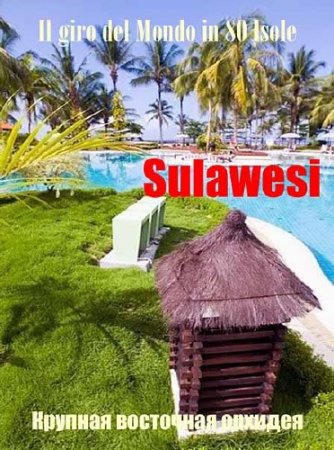 80 �������� ������ �����. �������� - ������� ��������� ������� / Il Giro Del Mondo In 80 Isole (2011) SATRip 