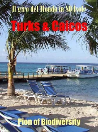 80 �������� ������ �����. Ҹ��� � ������. ������ ���������� � ���� / Il Giro Del Mondo In 80 Isole (2011) SATRip 