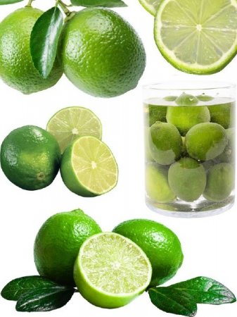 �������: ���������� ������ - ����