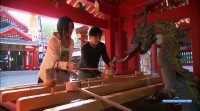 ������� �������� ������ / Flavors of west Japan (2010) HDTVRip 
