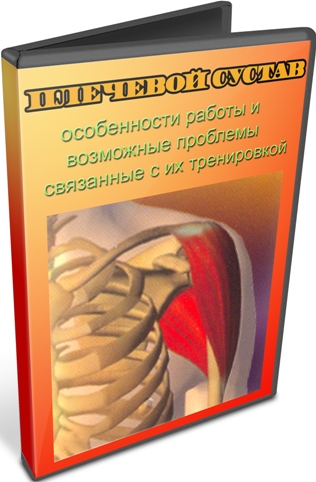 �������� ������ (2011) SATRip