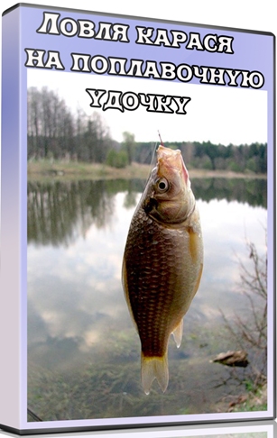 ����� ������ �� ����������� ������ (2011) SATRip