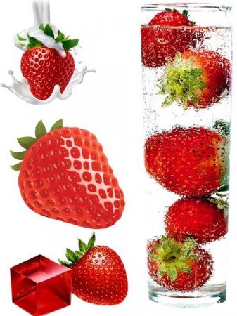 ������� ��������: ���������� ��������