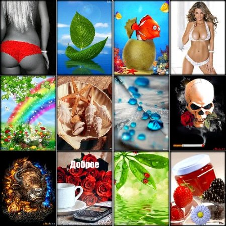 ������ �������� �������� ��� ���������� (2012)