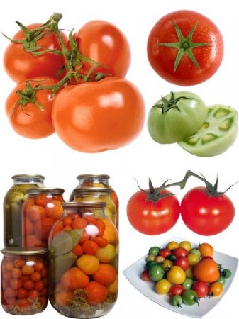 �������� �����: �������� ������� � �������, ������ � ���������