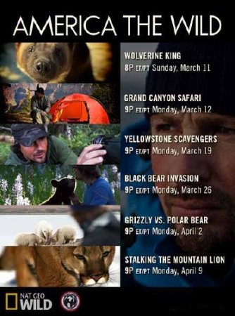 ����� �������: �� ������ ���� / America the Wild: Stalking the Mountain Lion (2012) HDTVRip 