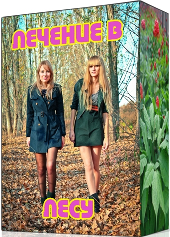 ������� � ���� (2011) DVDRip