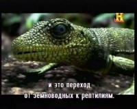 ������� ���� �� ��� ���� / History of the world in two hours (2011) SATRip 