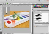 ����� ����������� Adobe Photoshop CS5 (���������)