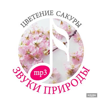 ����� �������. �������� ������