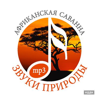 ����� �������. ����������� �������