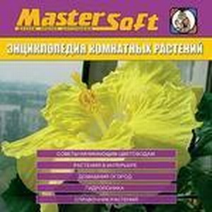 ������������ ��������� ��������. MasterSoft
