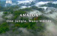Animal Planet: � ������ ��������� ������� / Wildest Latin America (2012) SATRip 