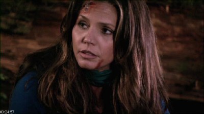 ����� �������� / Crash Site (2011/DVDRip/700Mb)