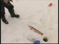 ����� �� ���� (���������)