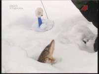 ����� �� ���� (���������)