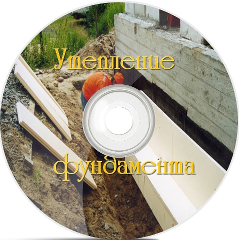 ��������� ���������� (2011) DVDRip