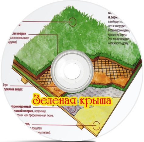 ������� ����� (2011) DVDRip