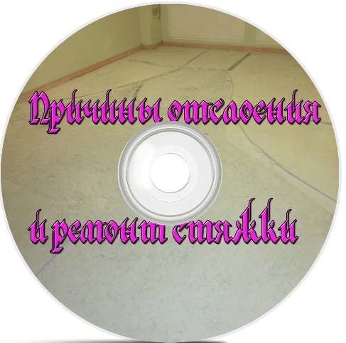 ������� ��������� � ������ ������ (2011) DVDRip