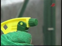 ������ �������� (���������)