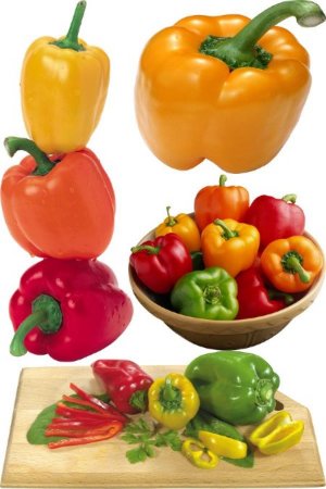 �����: ������� �������� �������� �����������