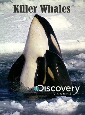 Animal Planets: ������ - �������. ����-������ / Killer Whales (2010) SATRip 