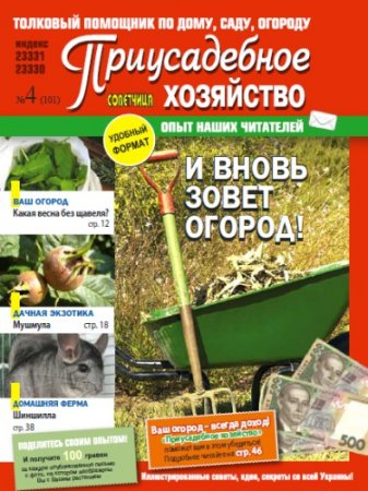 ������������ ���������. ��������� �4 2010