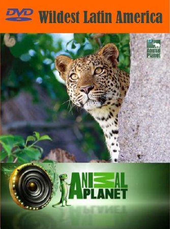 Animal Planet: � ������ ��������� ������� / Wildest Latin America (2012) SATRip 