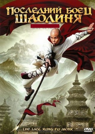 ��������� ���� ������� / Last Kung Fu Monk (2010/DVDRip/1400Mb)