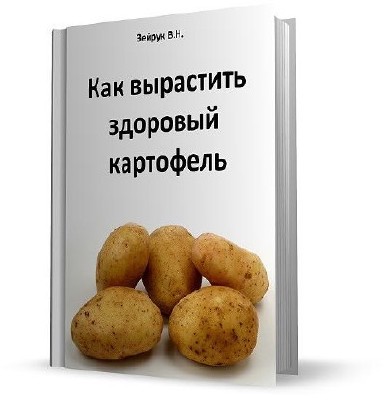 ��� ��������� �������� ��������� (2010) PDF