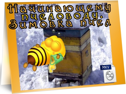 ����������� ���������. ������� ���� (2011) DVDRip