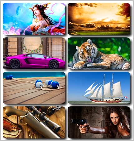 HQ ���� ��� �������� ����� - 80 HQ ��������