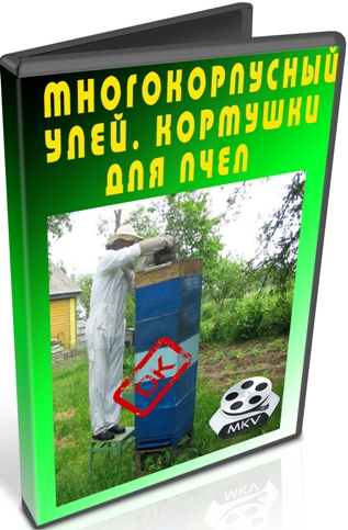 �������������� ����. �������� ��� ���� (2011) DVDRip